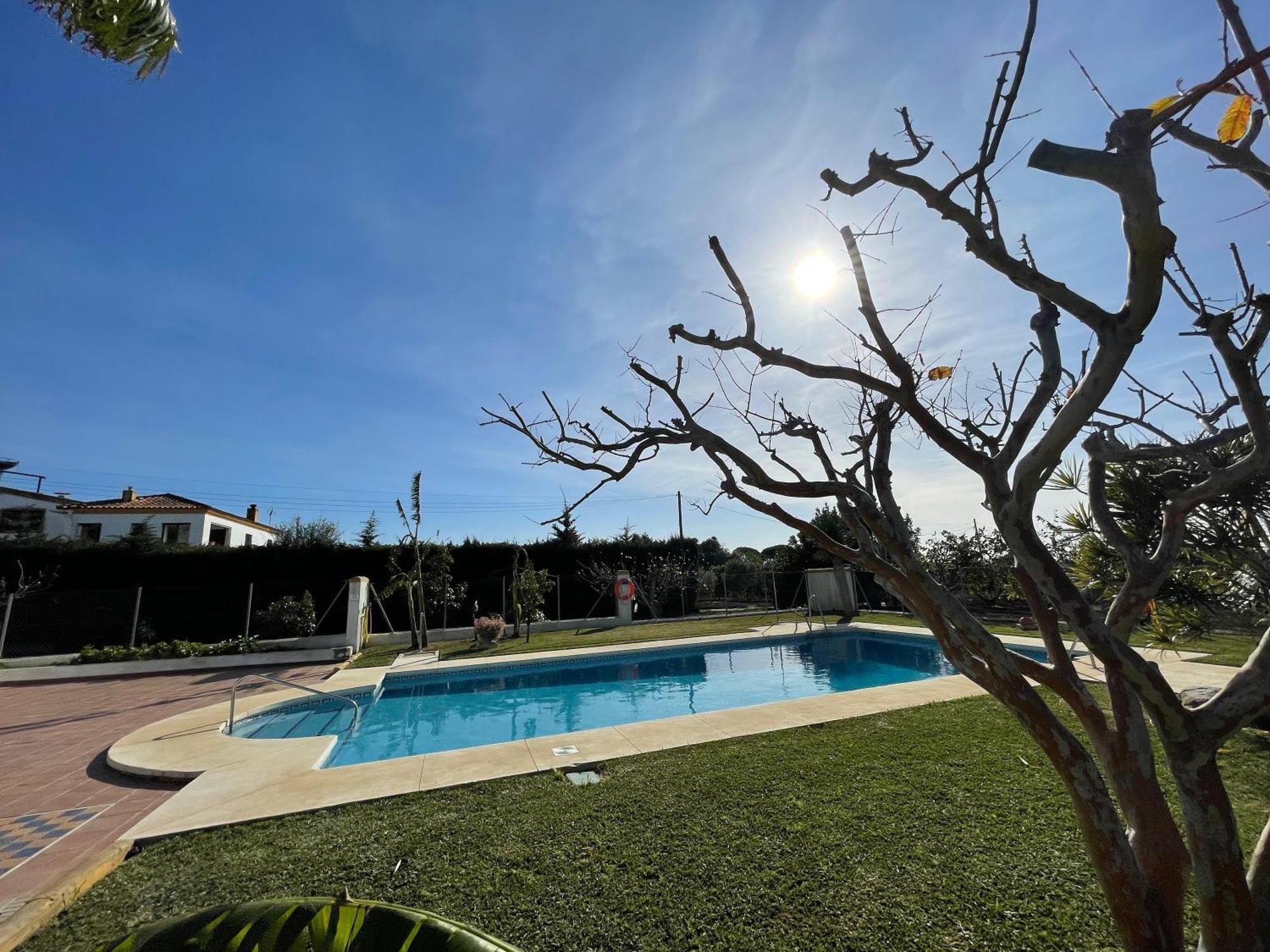 Finca La Tacita - Petunia Кониль-де-ла-Фронтера Экстерьер фото